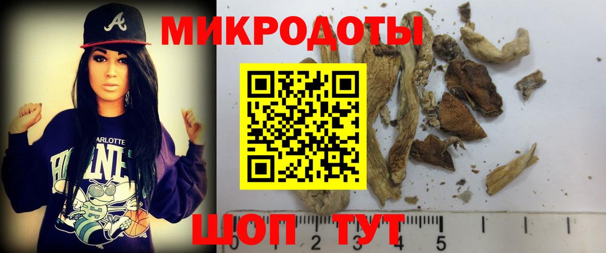 хочу   Вход с VPN  Железногорск  Галлюциногенные грибы Cubensis 